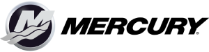 Mercury for sale in Douglasville, GA